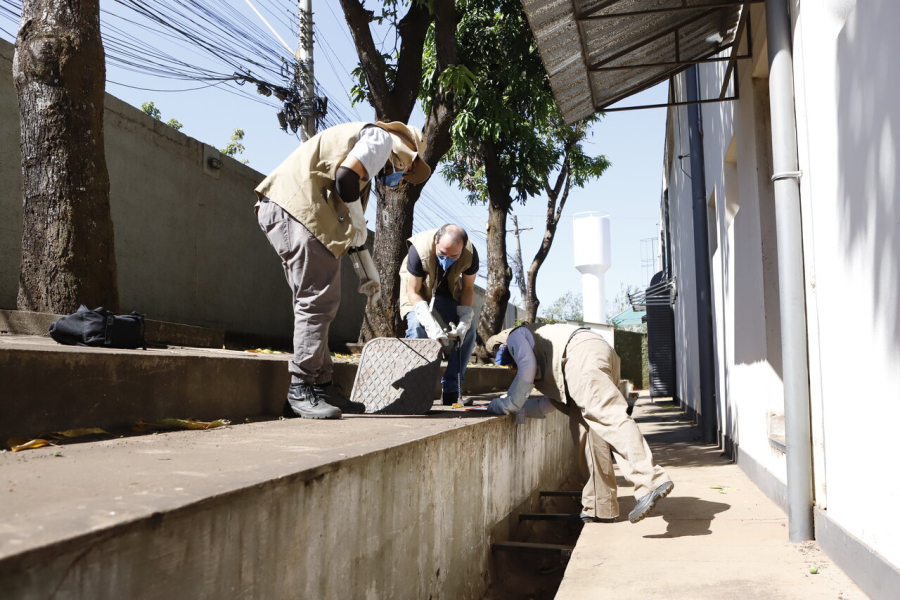Escorpiões no DF | Agentes reforçam prevenção após mais de 2,8 mil acidentes